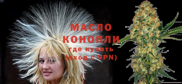 дживик Богородицк